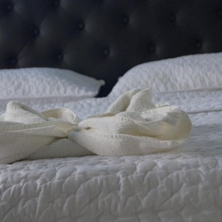 Hostal Magica Noche Filandia 호텔 외부 사진